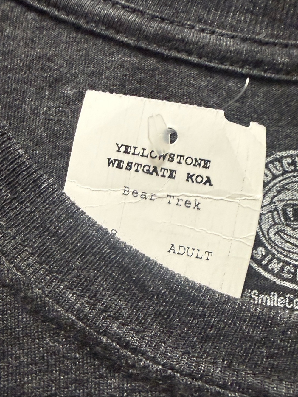 NWT The Duck Company Yellowstone Bear Trek Graphic Long Sleeve Tee 3X - Picture 2 of 5